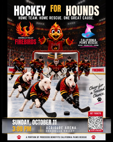 Hockey for Hounds, Join us on Sunday, October 11 at 3:00 PM!
